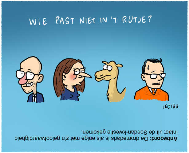 Wie past niet in het rijtje?