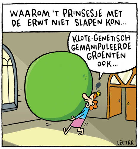 Prinsesje