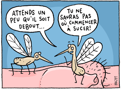 Les Moustiques