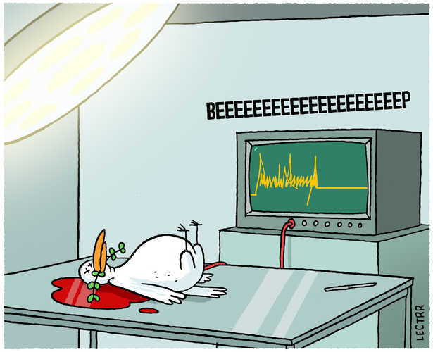 Vredesduif / Dove of peace