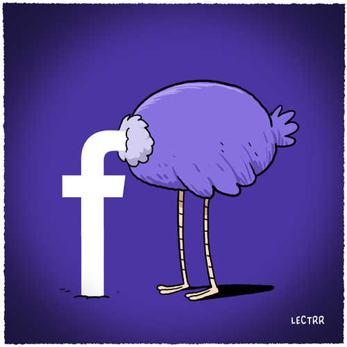 Struisvogel / Autruche /  Ostrich