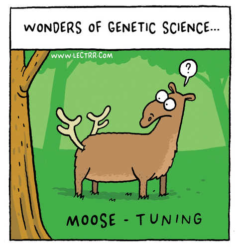 Moose-tuning