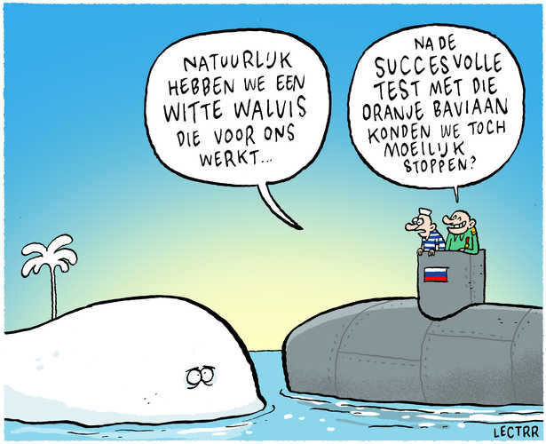 Witte walvis