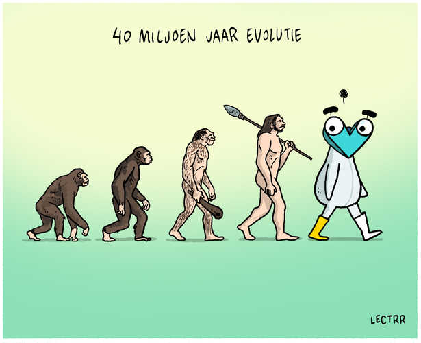 Evolutie