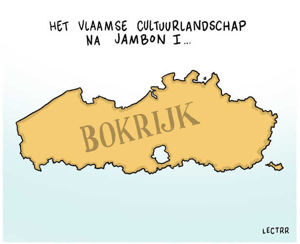 Vlaams cultuurlandschap