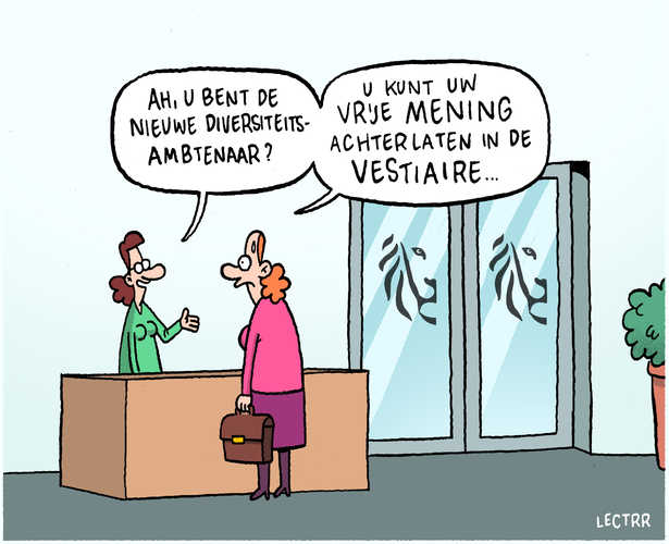 Diversiteitsambtenaar