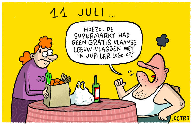 Vlaamse Leeuw Vlaggen