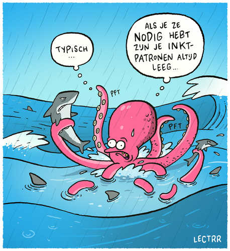 Octopus