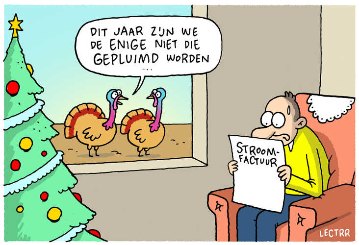 Stroomfactuur Gepluimd