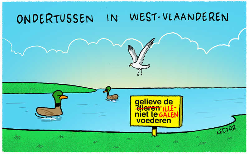 De illegalen niet voederen