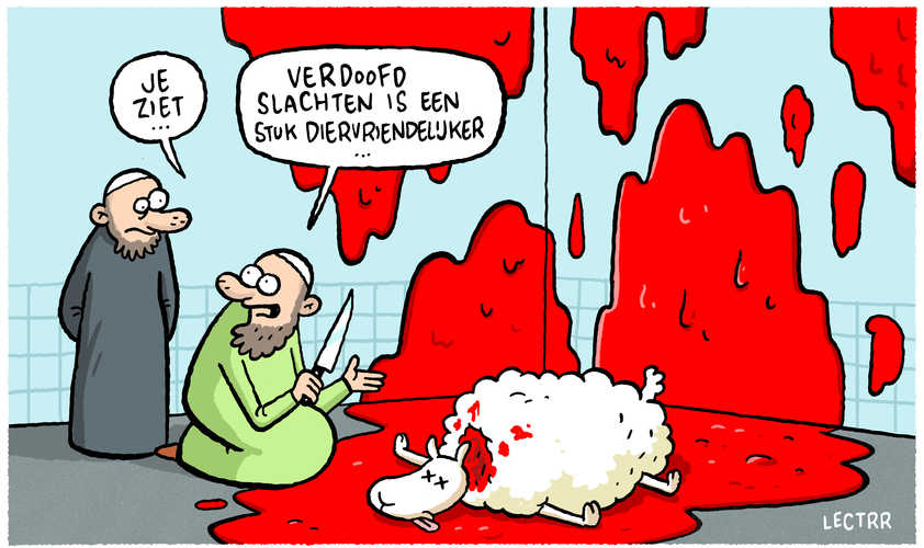 Diervriendelijker slachten 