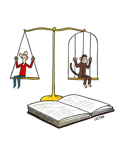 Dieren in de grondwet