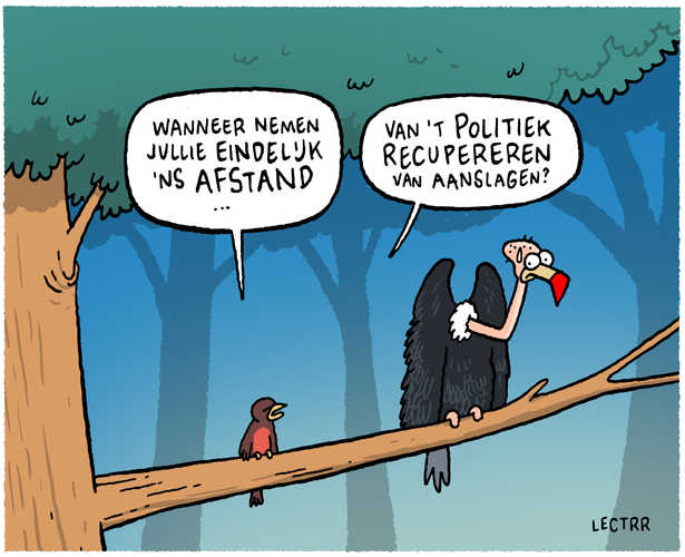 Politieke recuperatie