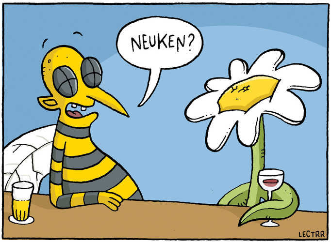 Bloem en bij